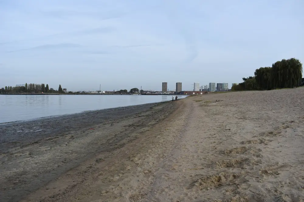 Het Sint-Annastrand op Linkeroever bij laagtij